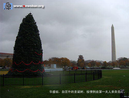 美国首都华盛顿，白宫外的圣诞树，按惯例由第一夫人点亮。