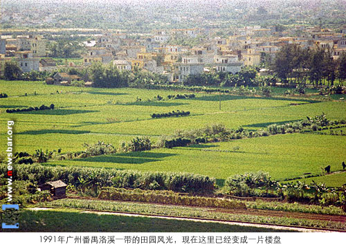 1991年从洛溪大桥上俯瞰的番禺洛溪一带的田园风光,这里现在是一片楼盘。
