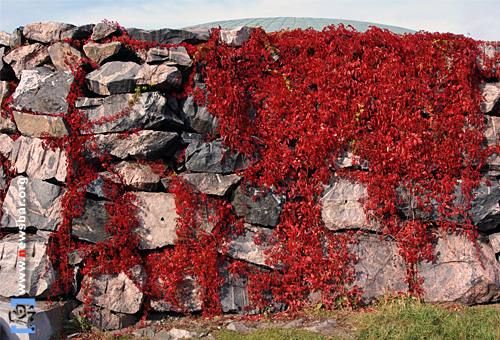 赫尔辛基岩石教堂,设计者斯欧马拉聂兄弟注重保护环境,岩石比旁边的街道高出8至13米,教堂巧妙地藏在岩石里面,岩石的形状肌理都顺其自然地保留了下来,与周围的不同年代的民居和谐相处。
