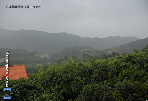 广东梅州雁洋镇雁南飞茶田度假村