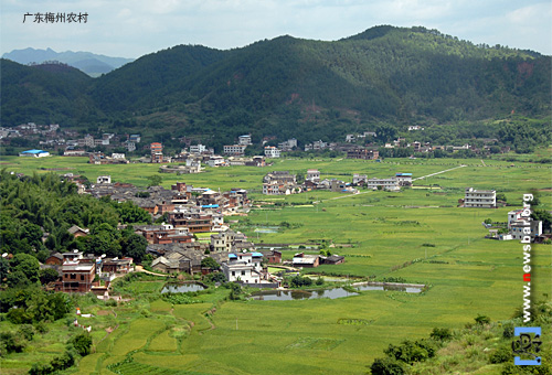 我的故乡——广东省梅州市。图为梅州农村。