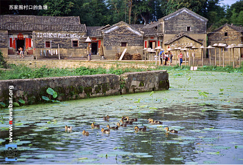 广东河源苏家围客家村,村口的鱼塘。