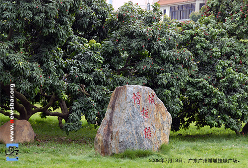 2008年7月13日,广东增城挂绿广场。