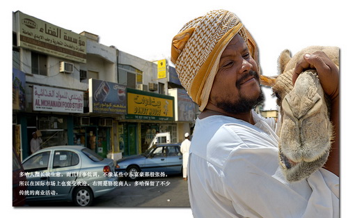 美丽的多哈:养驼人和他的骆驼