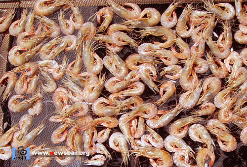 广东省惠州市惠东县巽寮湾附近一条渔村，几乎每一家都在晒海虾。