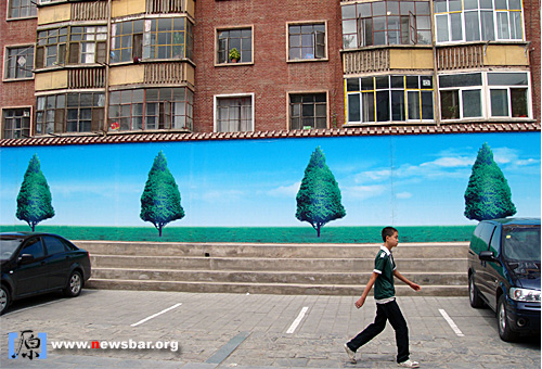 在路上抓拍：可笑的绿化。