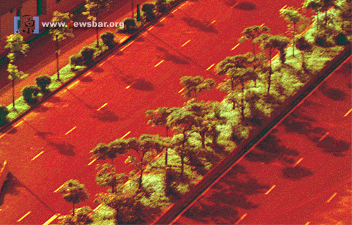 2010年5月23日,多场暴雨以后的广州迎来阳光……